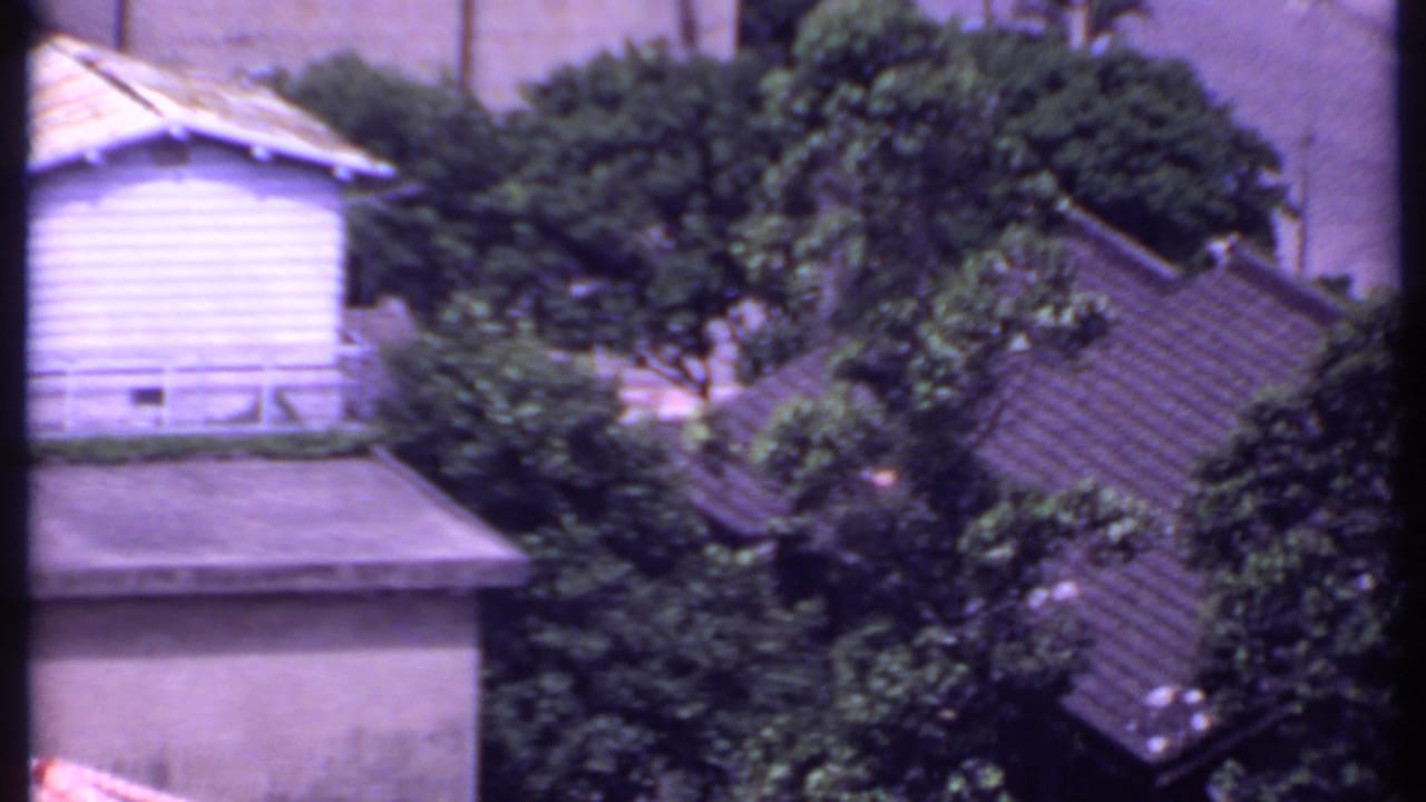 1969 India aerial frame showing a flat-roofed structure, surrounding trees, and neighboring tiled roofs from above.