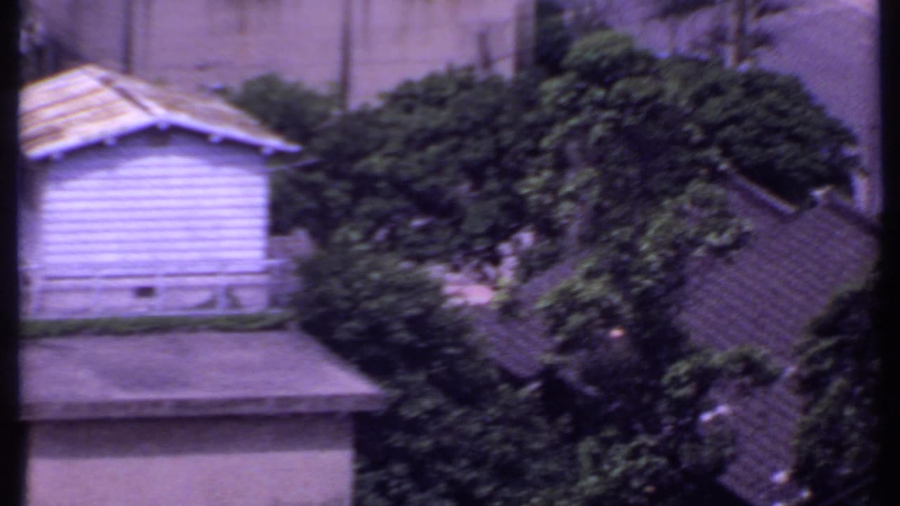 1969 India 8mm frame showing a pale outbuilding beside dense greenery and a landscaped garden edge.
