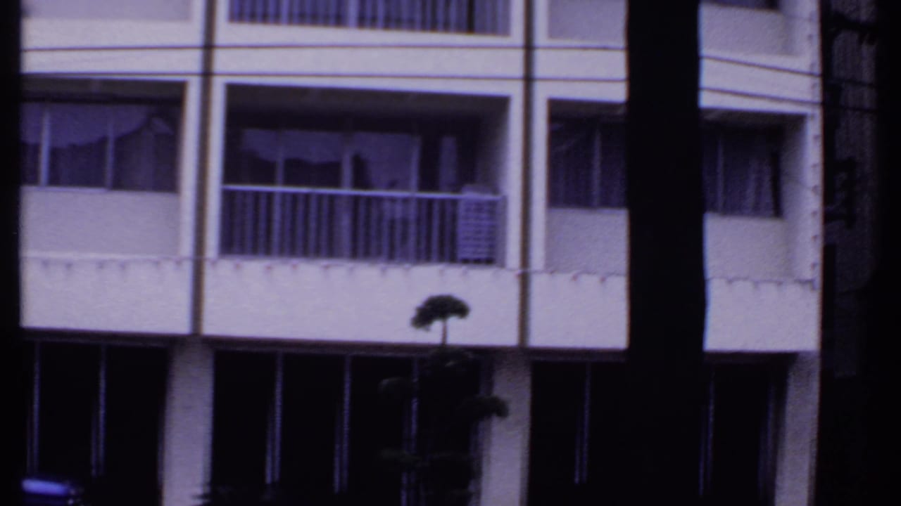 White multi-story building with balconies seen behind dark tree trunks.