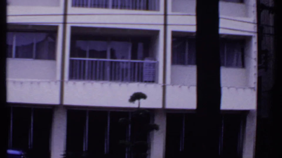 1969 India home-movie frame showing a white balcony building partly obscured by dark tree trunks.