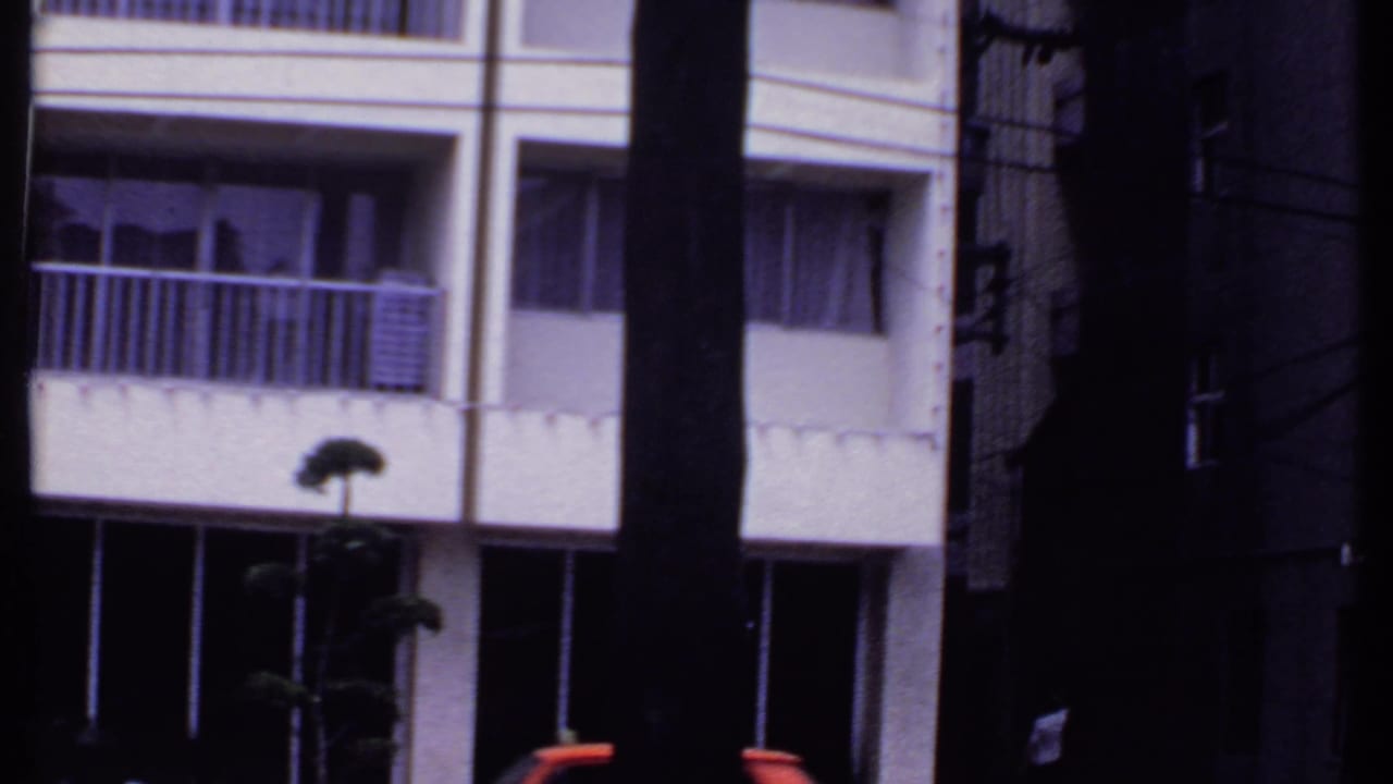 White multi-story building in India, filmed in 1969 through dark vertical tree trunks.