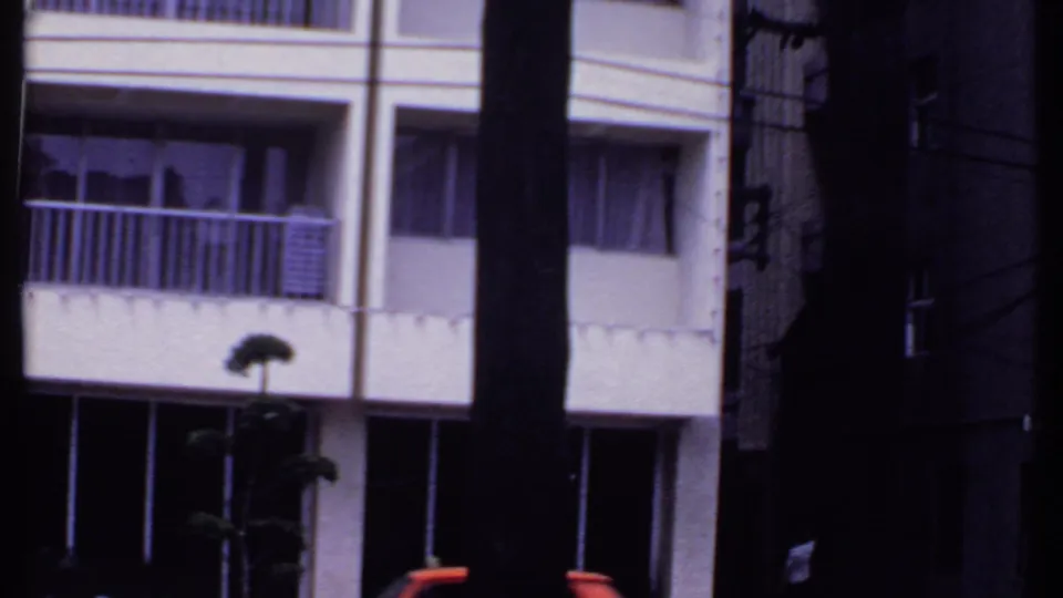 White multi-story building in India, filmed in 1969 through dark vertical tree trunks.