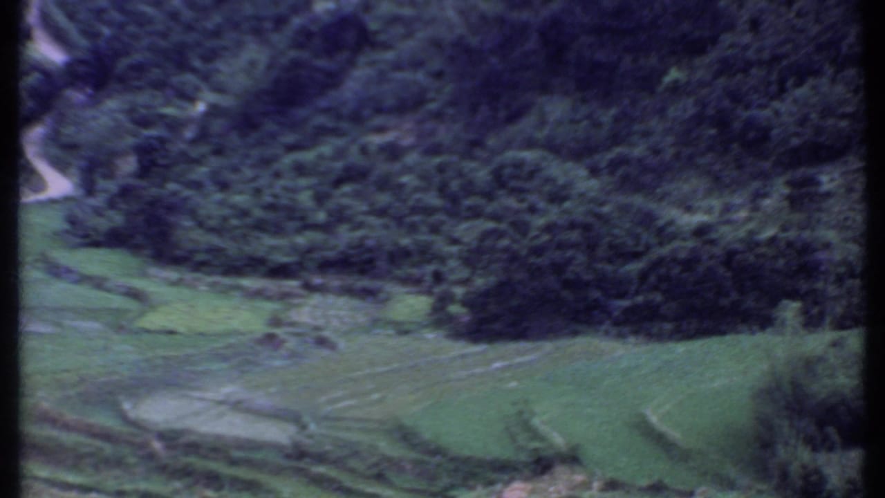 1969 India home-movie view of terraced green paddy fields below a wooded mountainside road.