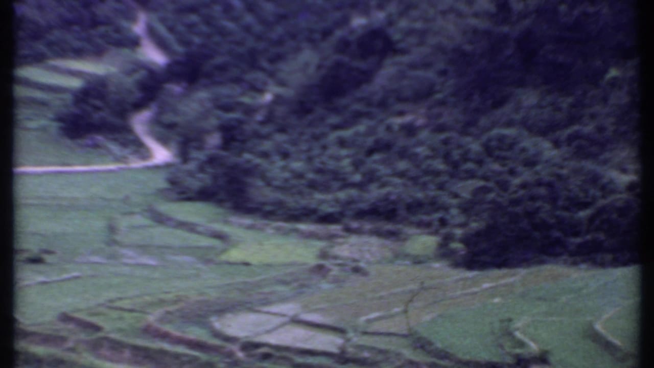 Terraced rice paddy fields in 1969 India, with a winding road crossing the wooded hillside above.