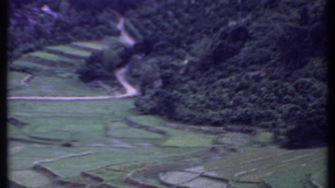 Aerial view of terraced green fields below a wooded mountainside with a pale path crossing the slope.