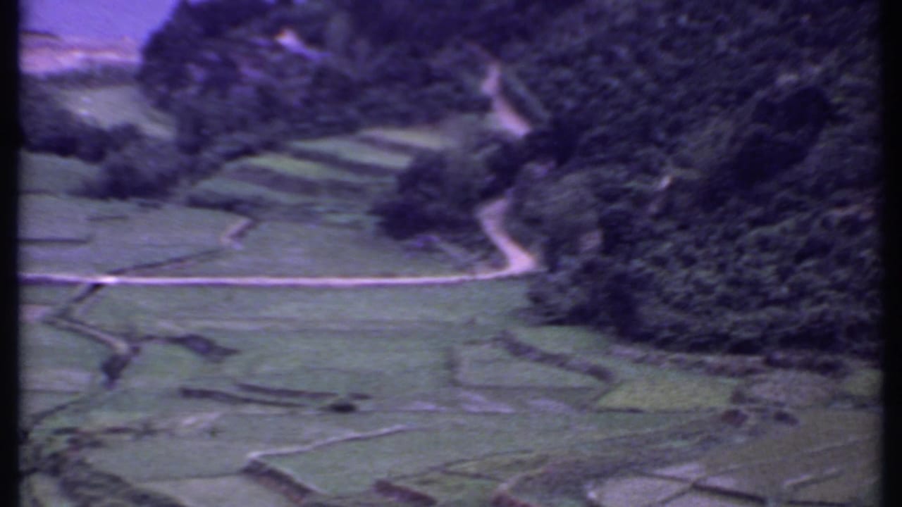 Aerial view of green fields, trees, and a winding path along a mountainside with water beyond.