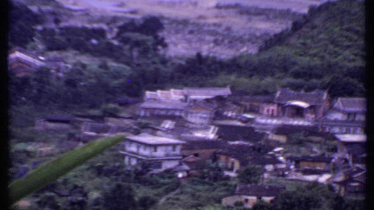 Village rooftops and trees with a long green leaf crossing the foreground.