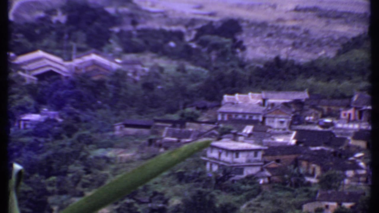 1969 India home-movie view of a hillside settlement, rooflines, dense vegetation, and a long plant leaf near the lower frame.