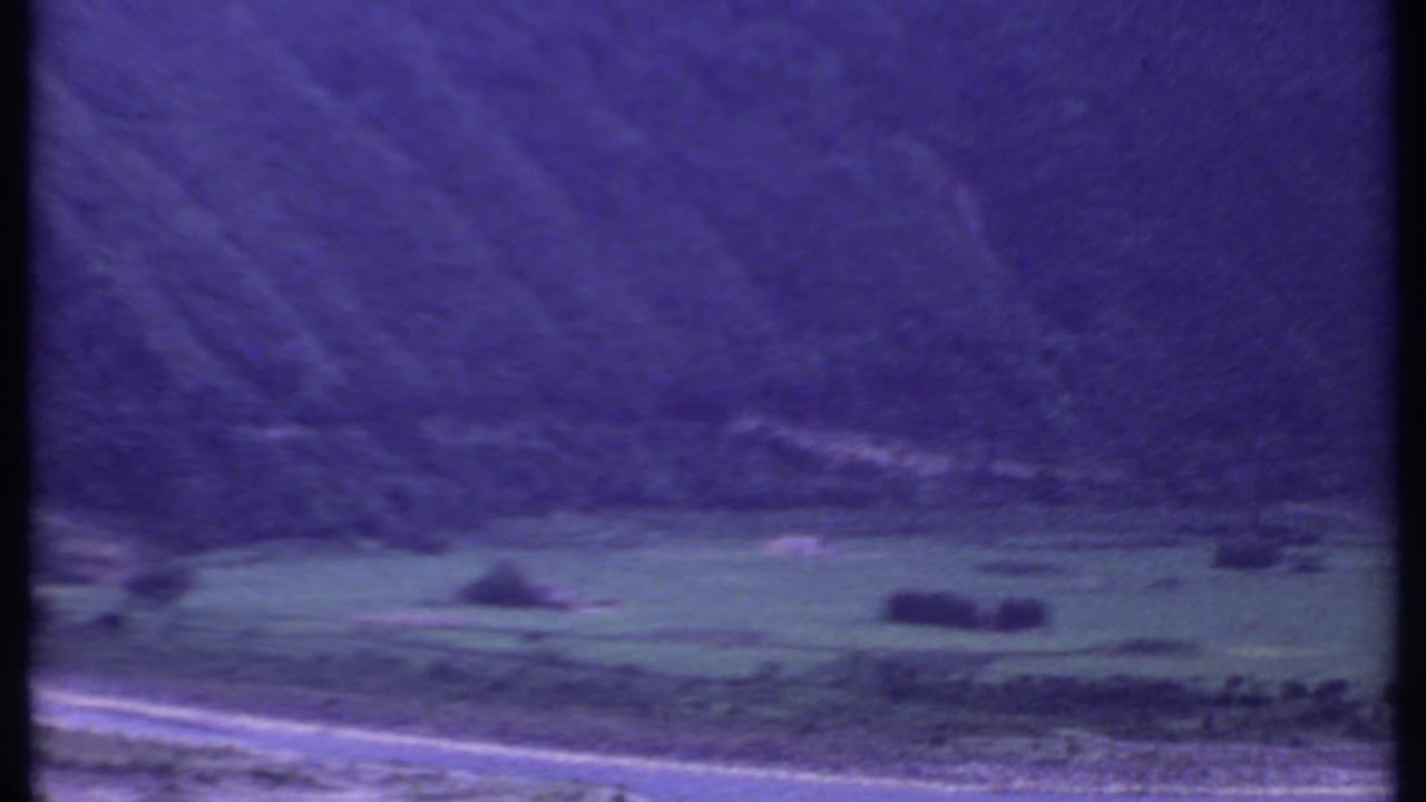Purple-tinted 8mm frame of rural India showing scattered trees on a green valley floor and a pale road near the foreground.
