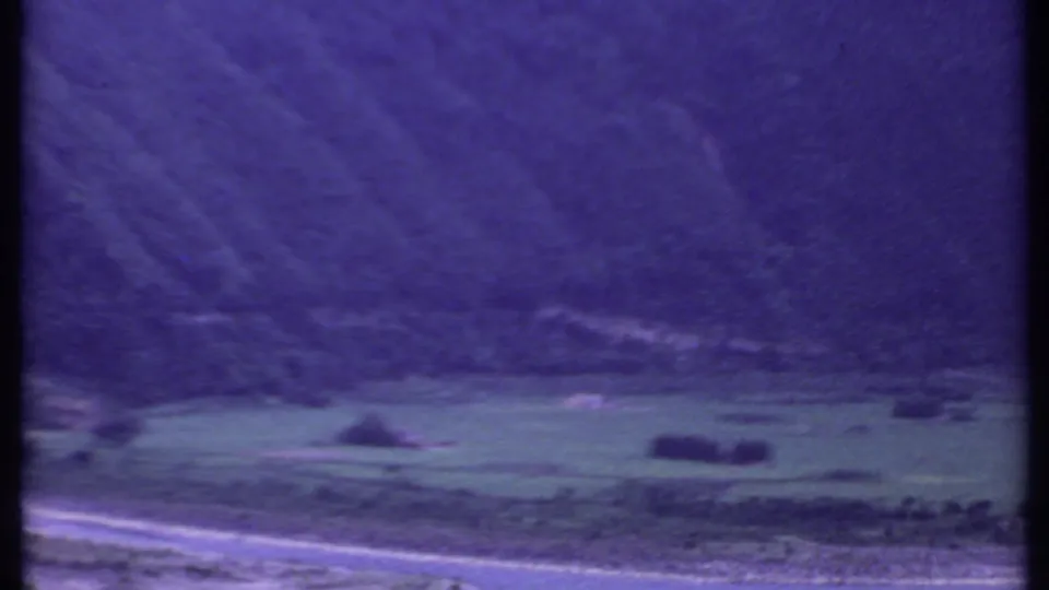 Purple-tinted 8mm frame of rural India showing scattered trees on a green valley floor and a pale road near the foreground.