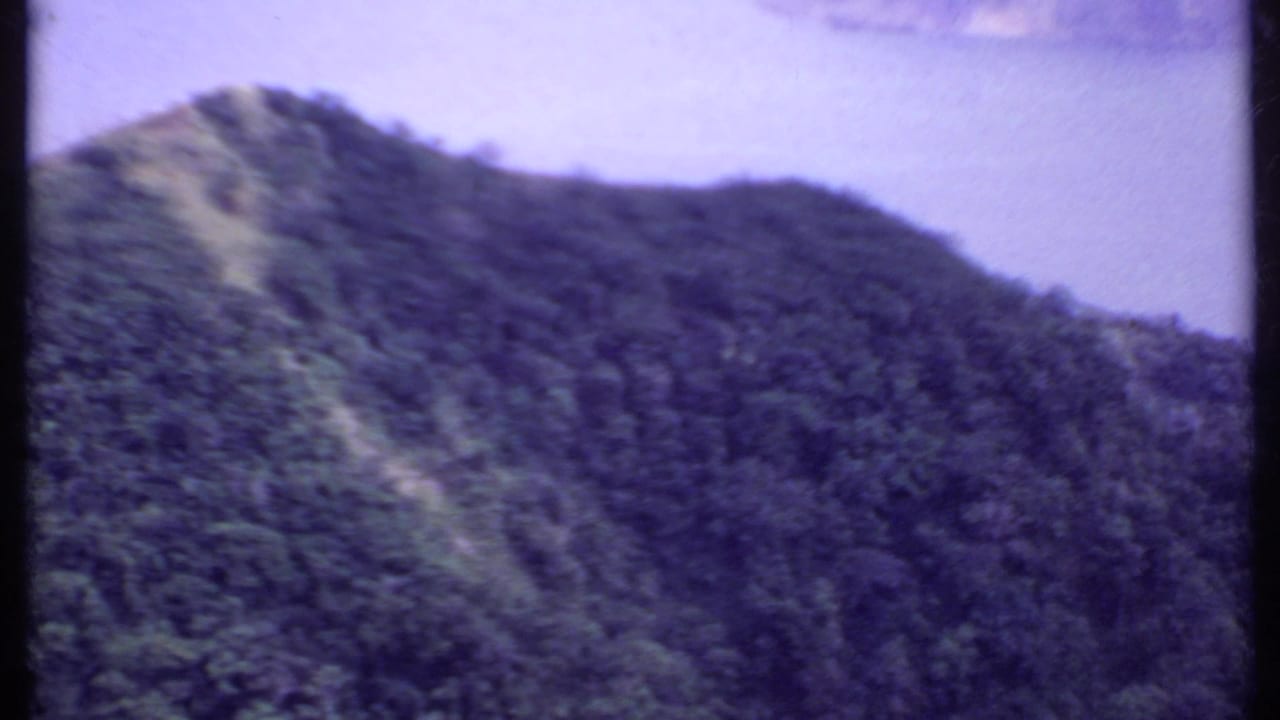 1969 India 8mm frame showing a wooded mountain slope with a lighter clearing or path descending through the vegetation.
