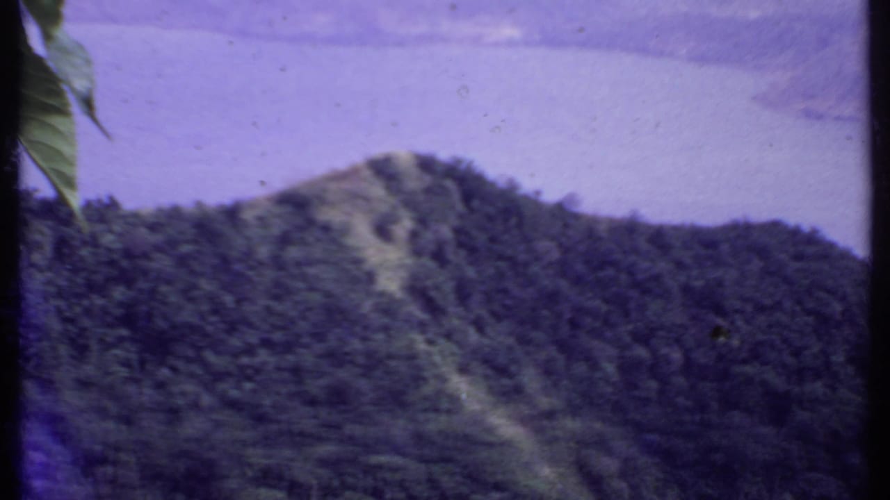 Distant wooded hillside above a pale lake, with leaves at the upper edge.