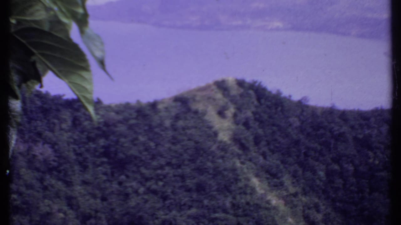 Forested mountain slope with a lake behind it and leaves near the top edge.