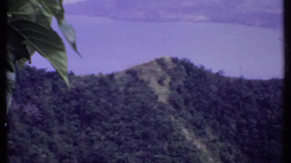 1969 8mm India frame showing a forested hill or mountain above a broad lake, with soft focus, purple color shift, and foreground leaves.