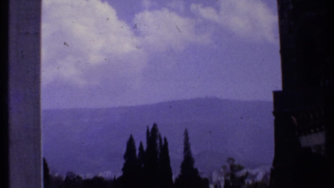 Dark tree silhouettes and a vertical foreground edge against hazy mountains and purple-blue sky.