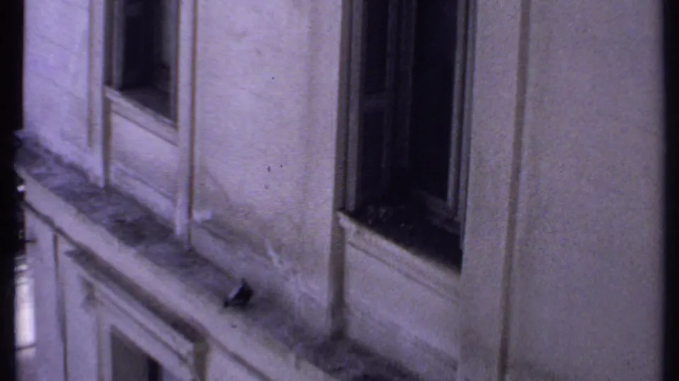 1969 Kenya 8mm frame showing a weathered building wall with dark windows, ledges, and a pigeon perched near a sill.