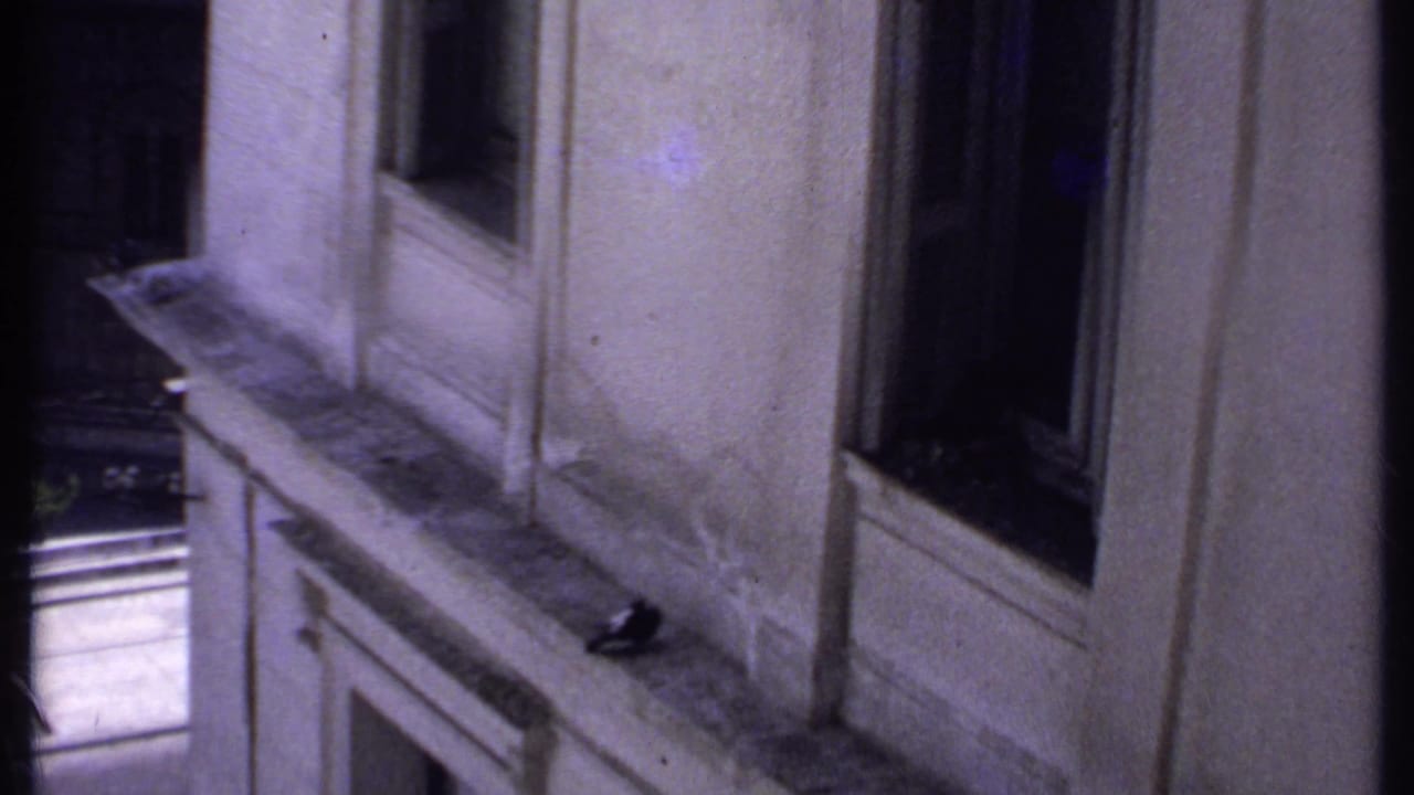 1969 Kenya 8mm frame showing a building facade with windows and ledge beside a tree-lined city street below.