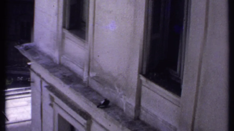 1969 Kenya 8mm frame showing a building facade with windows and ledge beside a tree-lined city street below.