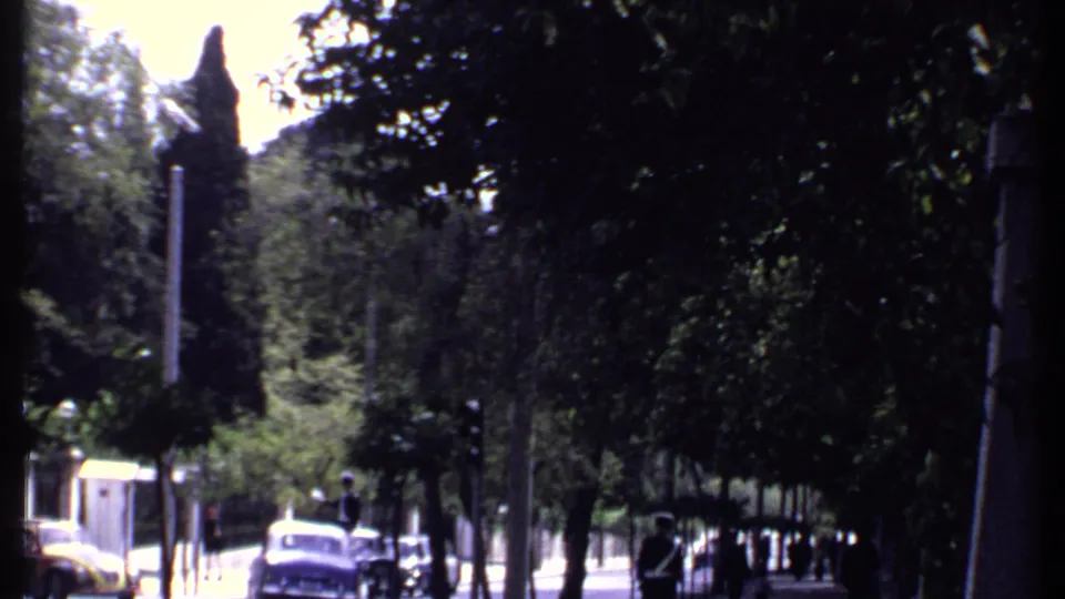 1969 Kenya street view with leafy trees, mid-century cars, pedestrians, and a vertical roadside pole.