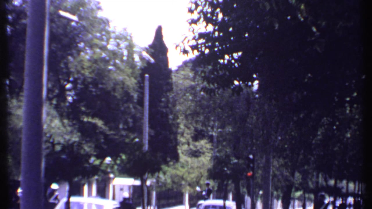 Tree-lined street with stone walls, tall trees, a pole, and a passing car partly visible.
