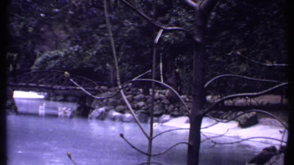 The 8mm frame holds on a landscaped lake scene in Kenya, with white swans near a bridge and trees filling the background.