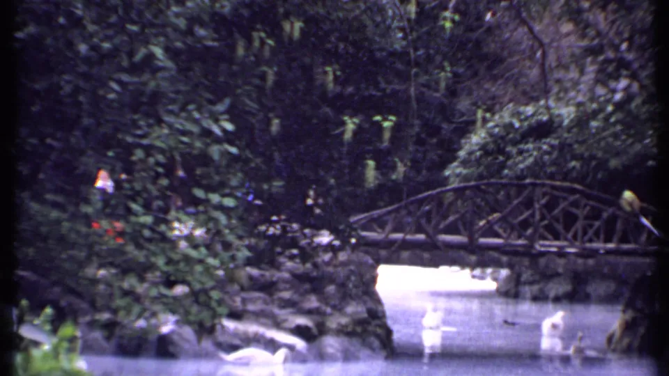 1969 Kenya 8mm frame with distant visitors near a garden bridge and white ducks on the pond below.