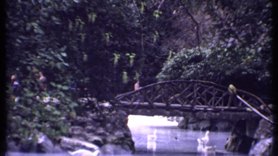 1969 Kenya travel-film frame showing distant people by a rustic bridge with ducks on a landscaped pond.