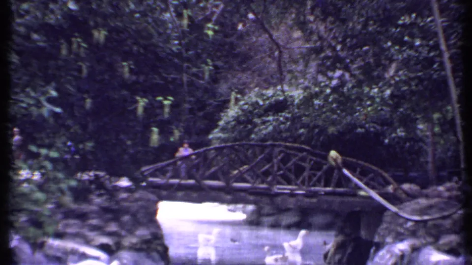 1969 Kenya 8mm frame showing a rustic arched bridge, pond water, stone edging, and thick garden greenery.