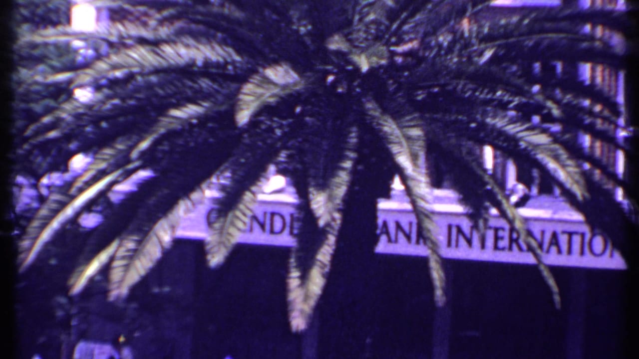 Large palm tree in front of a bank sign and multi-story building facade.