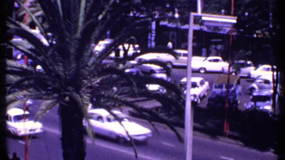 Elevated 1969 Kenya street view with palm trunks, parked cars, moving vehicles, and a storefront across the road.