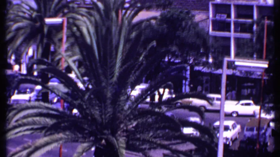 1969 Kenya 8mm street frame showing palm fronds, classic cars, curbside parking, and a storefront sign area.