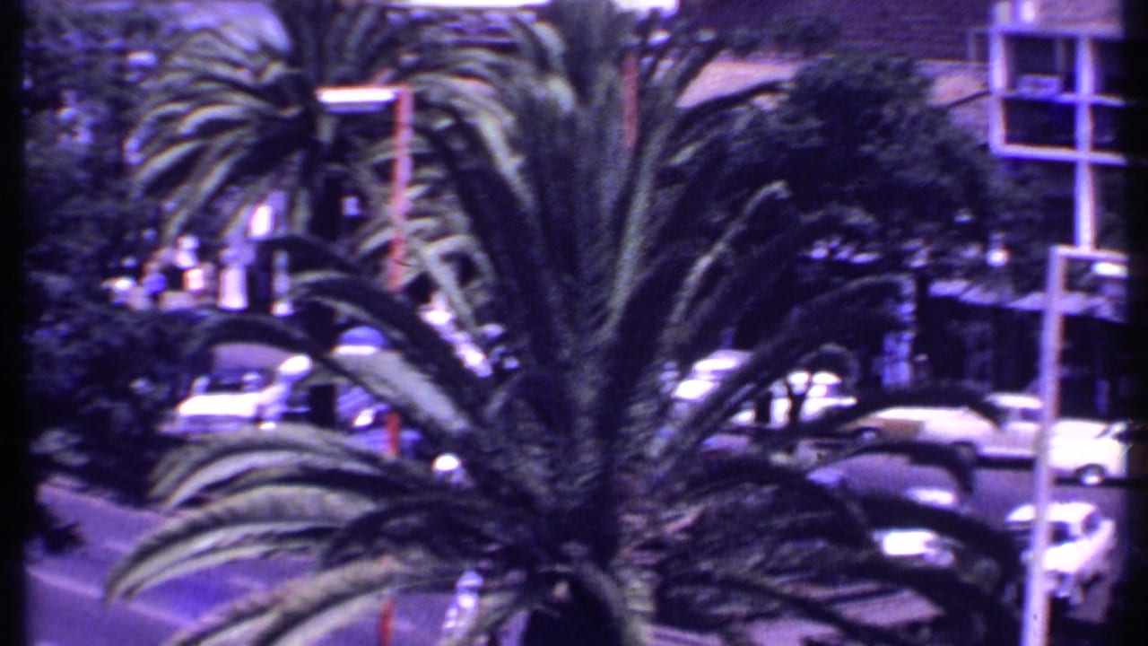 Palm trees and cars on a busy city street seen from above.