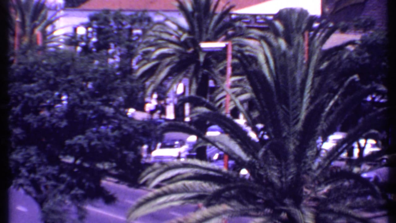 High-angle view of a Kenyan city street in 1969, with palms, traffic, and buildings visible through foliage.