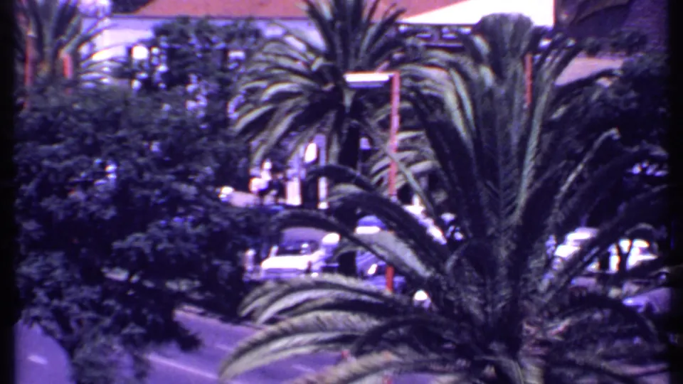 High-angle view of a Kenyan city street in 1969, with palms, traffic, and buildings visible through foliage.