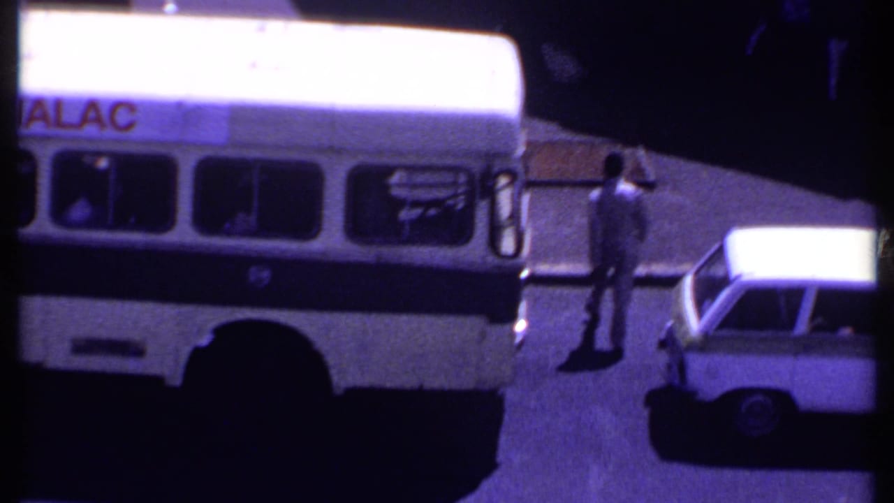 White bus and station wagon on a city street with pedestrians near palm shadows.
