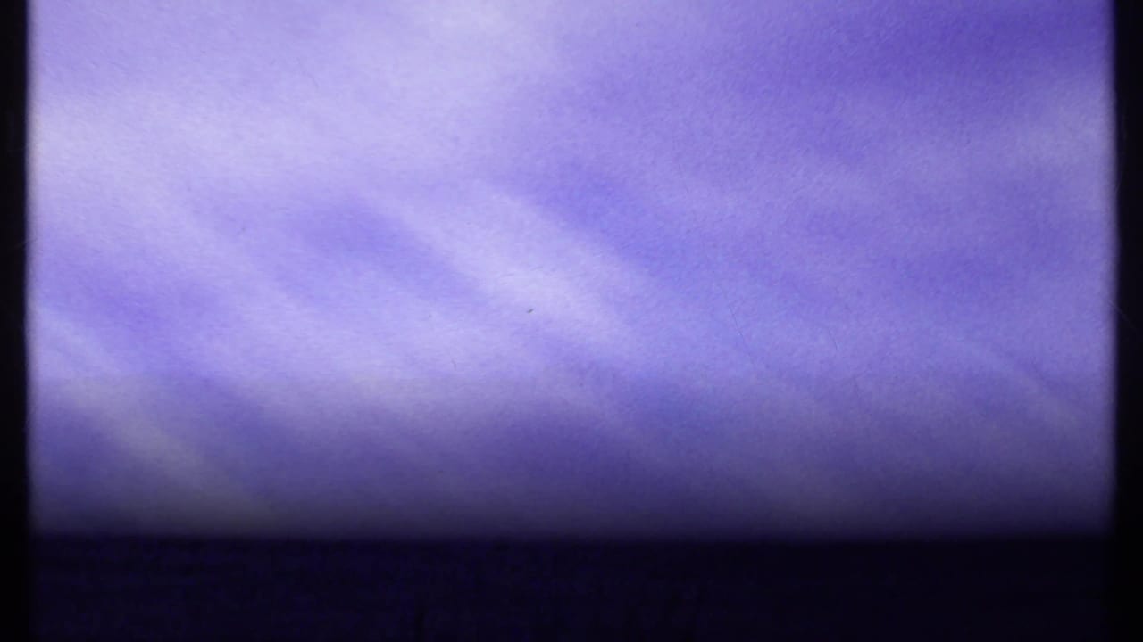 Soft purple sky and dark low horizon with no animal clearly visible.