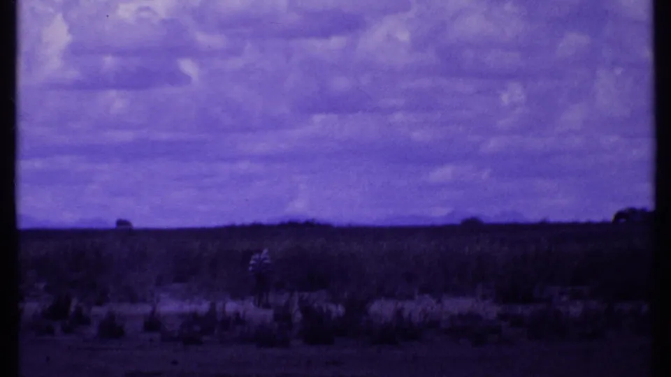 1969 Kenya 8mm frame showing a flat open range, low shrubs, distant horizon, and clouded sky with a strong purple color cast.