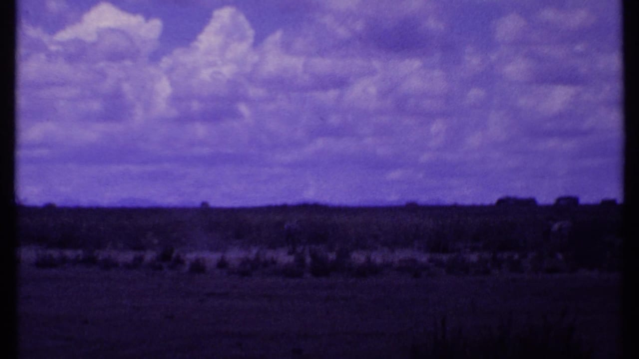 Open landscape with cloudy sky, low vegetation, and dark horizon shapes.