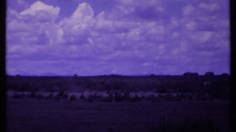 1969 Kenya 8mm frame of open rangeland with scattered shrubs, distant dark shapes, and a cloudy sky tinted purple by the film scan.