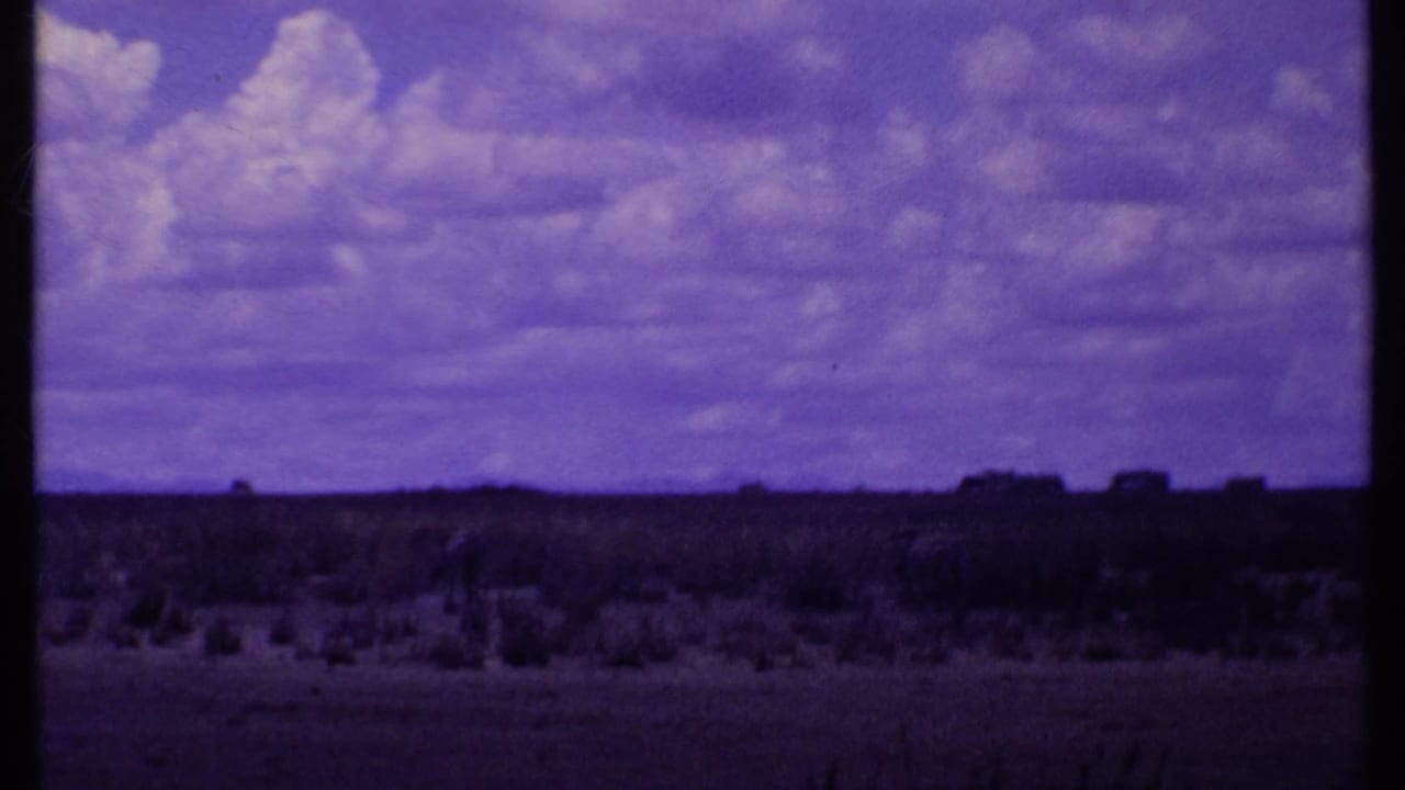 Purple-tinted savanna horizon beneath a clouded sky with distant dark animal shapes.