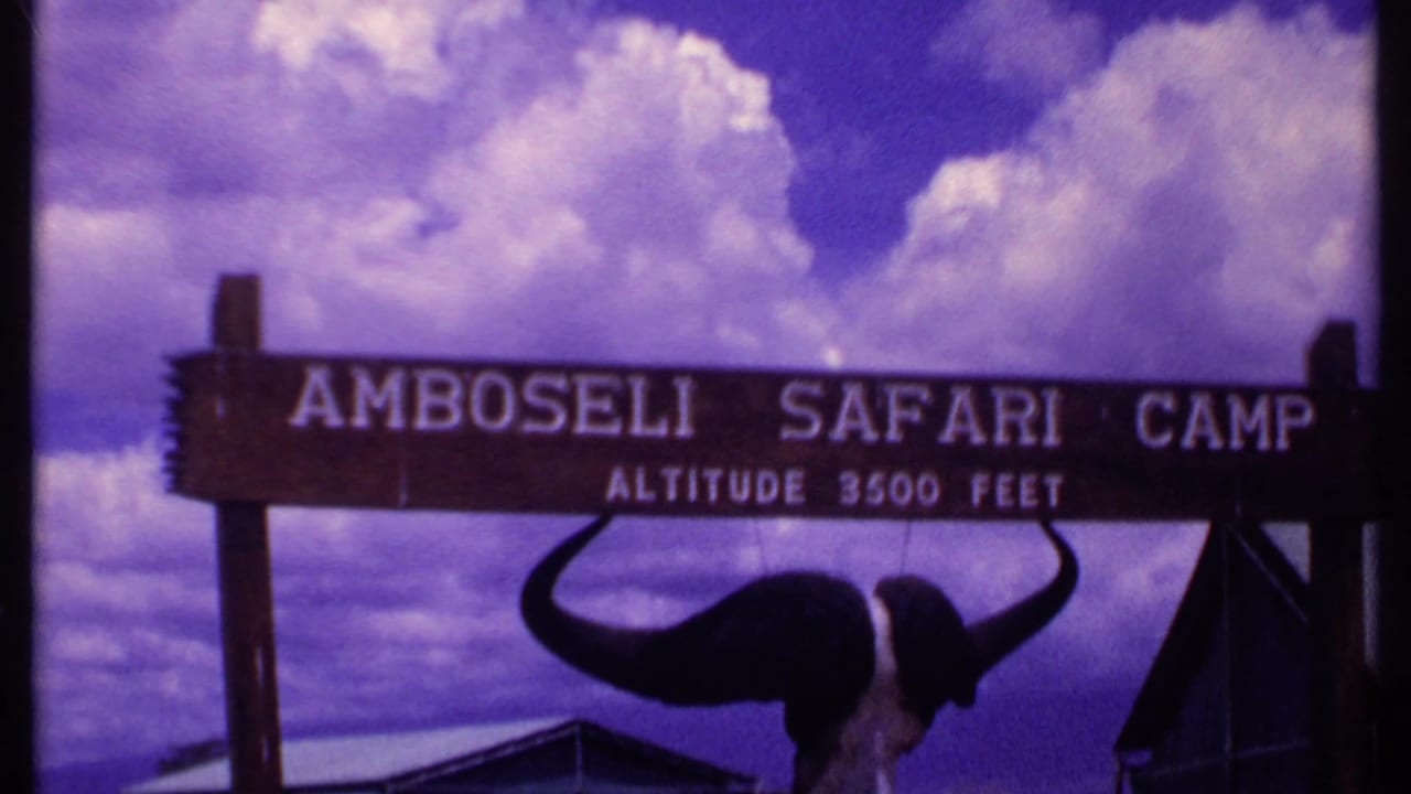 Amboseli Safari Camp sign with buffalo skull below and clouds behind it.