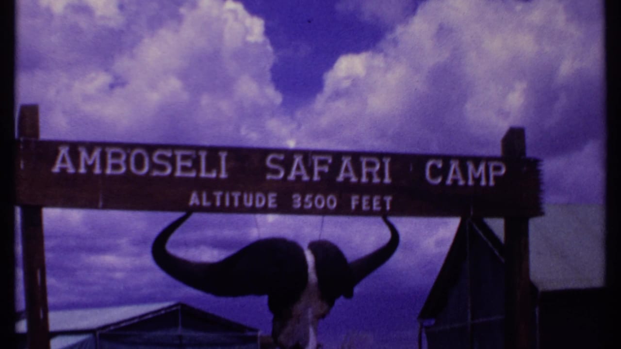 Amboseli Safari Camp sign and buffalo skull framed against a cloudy sky.