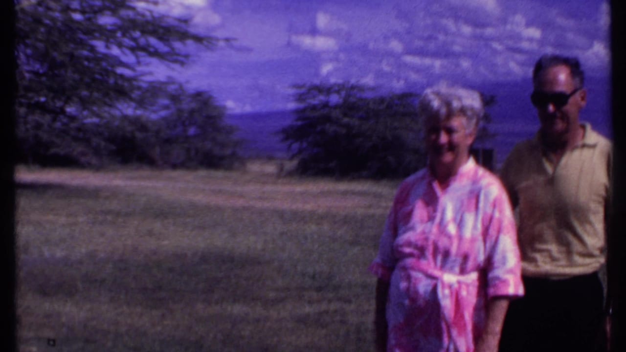 Older woman and older man stand near the edge of a grassy landscape.