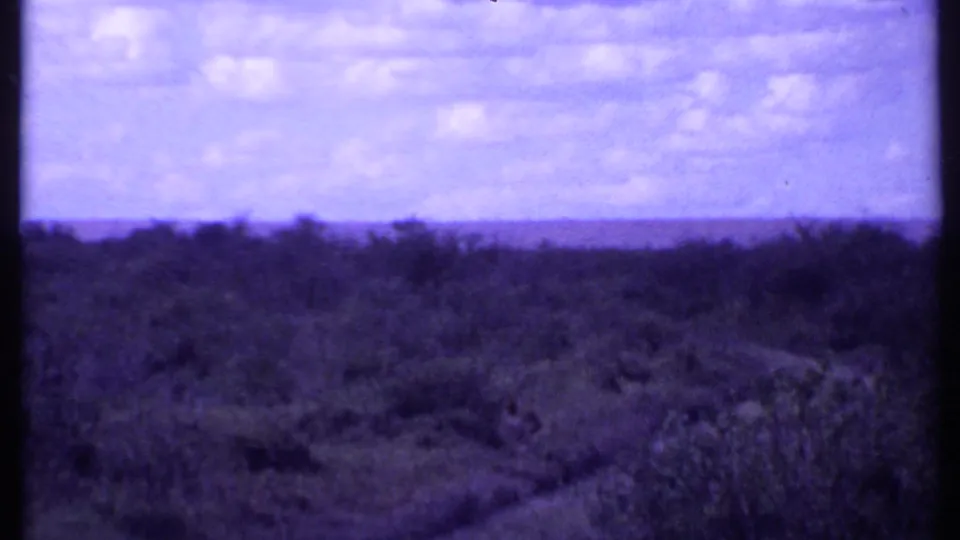 A wide 1969 Kenya grassland view shows a low horizon under clouds, with vintage 8mm grain and strong blue-purple fading.