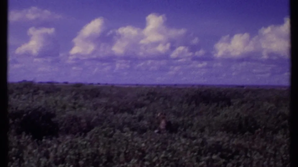 1969 Kenya home-movie frame of open savanna, distant horizon, cloud bands, and dark animal shapes low in the grass.