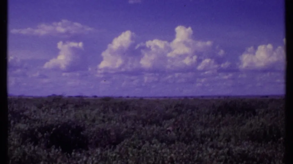 1969 Kenya 8mm frame showing wide grassland, a low horizon, cloud-filled sky, and dark animal forms in the foreground grass.