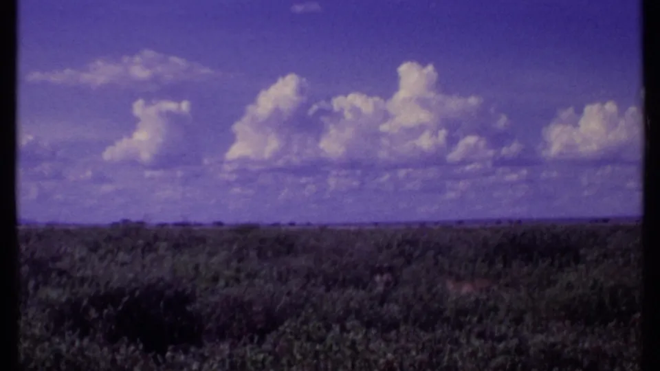 1969 Kenya 8mm frame showing low brushland beneath a purple-blue sky with white clouds and a flat distant horizon.
