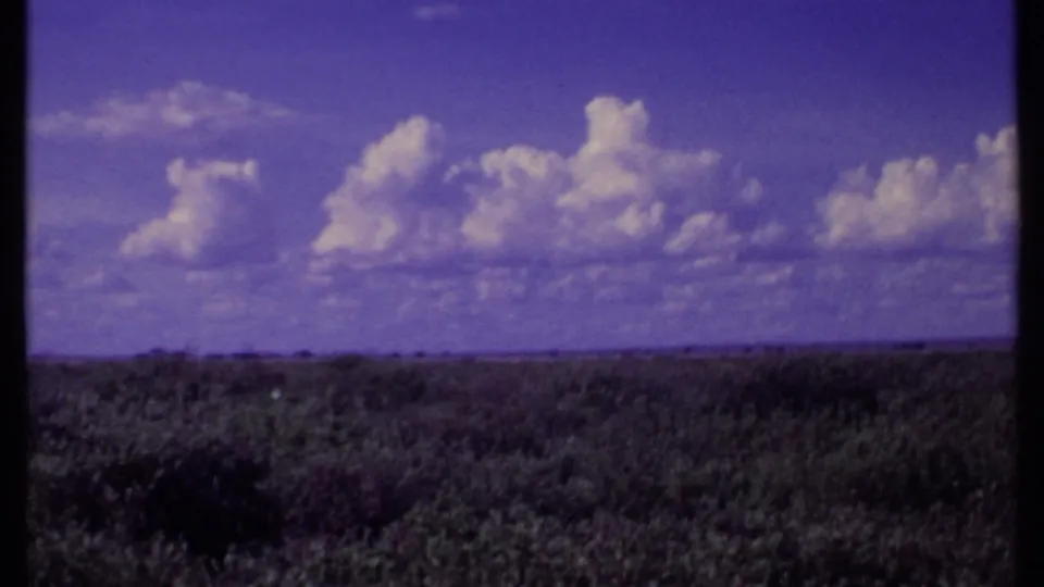 1969 Kenya 8mm frame of open scrubland under a purple-tinted clouded sky, with the animal not clearly discernible.