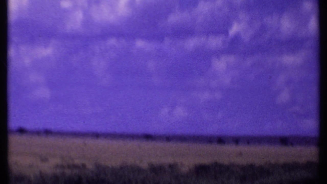 Open landscape with scrub, horizon line, and purple-tinted sky.