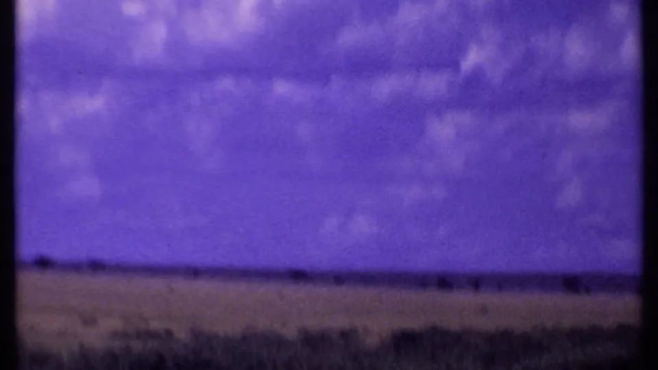 Purple-shifted 8mm view of Kenyan scrubland with sparse vegetation and a long horizon during a safari route.